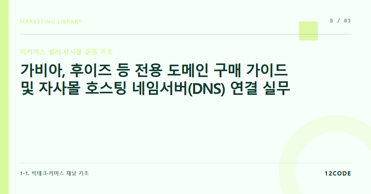 12code 라이브러리 아티클 표지. 가비아, 후이즈 등 전용 도메인 구매 가이드 및 자사몰 호스팅 네임서버(DNS) 연결 실무